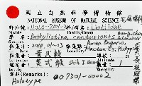 百夫長花冠螺藏品圖，第14張