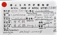 盔甲花冠螺藏品圖，第11張