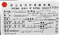 城堡花冠螺藏品圖，第11張