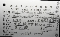 美少女花仙螺藏品圖，第12張