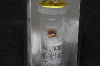 多田東洋蝸藏品圖，第4張