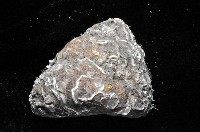 頭巾黑鐘螺藏品圖，第3張