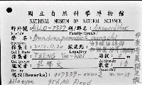 邦查奇異鞭尾蟲(新種)藏品圖，第1張