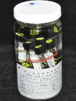 邦查奇異鞭尾蟲(新種)藏品圖，第2張