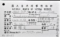 邦查奇異鞭尾蟲(新種)藏品圖，第1張