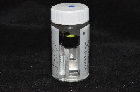 邦查奇異鞭尾蟲(新種)藏品圖，第4張