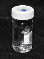 邦查奇異鞭尾蟲(新種)藏品圖，第2張
