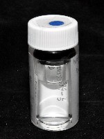 邦查奇異鞭尾蟲(新種)藏品圖，第4張