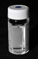 邦查奇異鞭尾蟲(新種)藏品圖，第3張