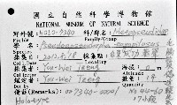 毛觸鬚偽近鞭尾蟲藏品圖，第1張