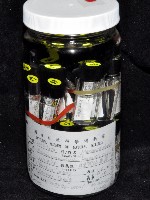 毛觸鬚偽近鞭尾蟲藏品圖，第2張