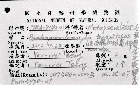 毛觸鬚偽近鞭尾蟲藏品圖，第1張