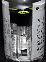 毛觸鬚偽近鞭尾蟲藏品圖，第4張
