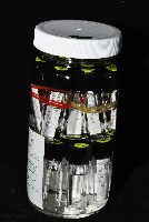 漢氏合鞭尾蟲藏品圖，第2張