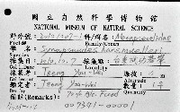 漢氏合鞭尾蟲藏品圖，第4張