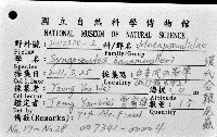 漢氏合鞭尾蟲藏品圖，第4張