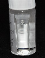 漢氏合鞭尾蟲藏品圖，第3張