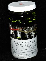 多瘤印度鞭尾蟲藏品圖，第2張