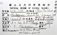 枝狀多目珊瑚藏品圖，第12張