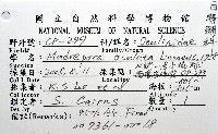枝狀多目珊瑚藏品圖，第12張