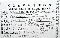 軸樹珊瑚(軸木珊瑚)藏品圖，第8張