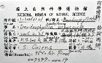 軸樹珊瑚(軸木珊瑚)藏品圖，第12張