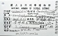 飯島氏樹珊瑚藏品圖，第8張