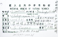 未知種樹珊瑚藏品圖，第12張