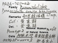 知本錐塔螺藏品圖，第8張