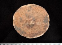 富士餅乾海膽藏品圖，第1張