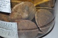 富士餅乾海膽藏品圖，第2張
