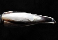 龜茗荷藏品圖，第4張