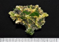 鵜足青螺藏品圖，第2張