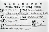 台灣蜆藏品圖，第8張