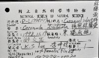 桶冠鯨藤壺藏品圖，第12張