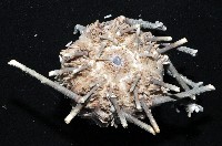 雙列角頭帕藏品圖，第3張