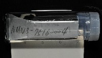 梧棲搓蟄蟲藏品圖，第4張