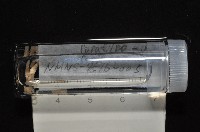 梧棲搓蟄蟲藏品圖，第4張