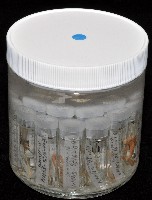 梧棲搓蟄蟲藏品圖，第5張