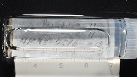 梧棲搓蟄蟲藏品圖，第2張