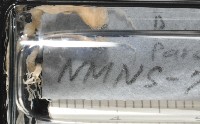 梧棲搓蟄蟲藏品圖，第3張