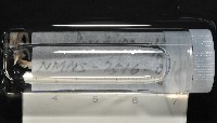 梧棲搓蟄蟲藏品圖，第2張