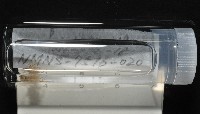 梧棲搓蟄蟲藏品圖，第2張