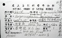 北極筐蛇尾藏品圖，第12張
