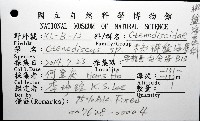 未知種櫛盤海星藏品圖，第16張