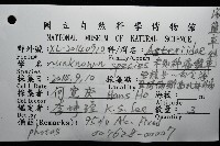 未知種海盤車藏品圖，第16張