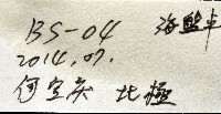 未知種海盤車藏品圖，第11張