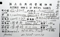 未知種海盤車藏品圖，第12張