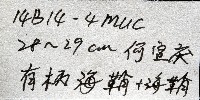 北極有柄海鞘藏品圖，第11張