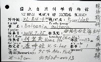北極有柄海鞘藏品圖，第12張